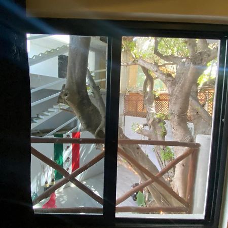 Why Not Rooftop Party Hostel Playa del Carmen Esterno foto