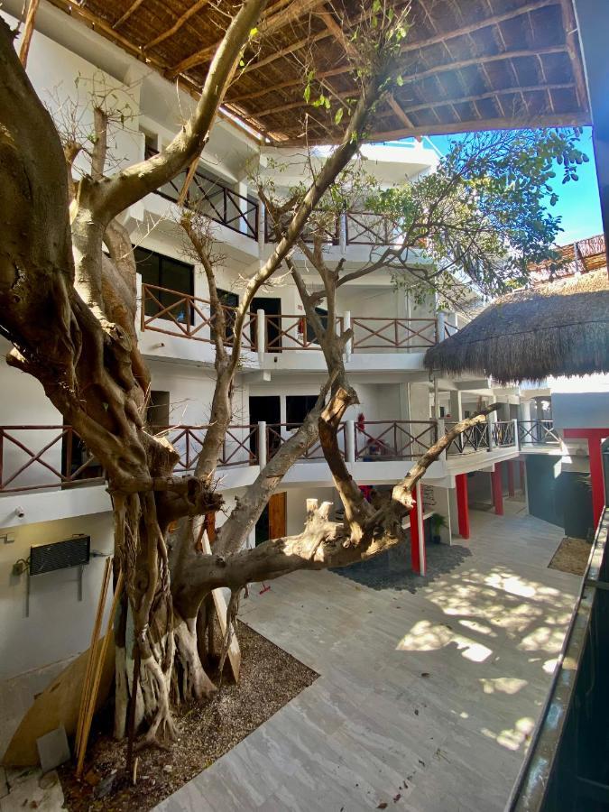 Why Not Rooftop Party Hostel Playa del Carmen Esterno foto